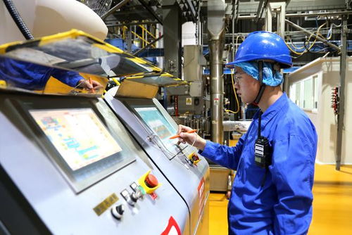 新華全媒 小萌寵激活億元新賽道——山東寵物產業發展一線見聞與河南軟件開發的協同啟示